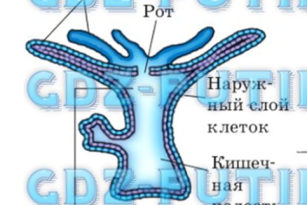 Актуальное зеркало kraken