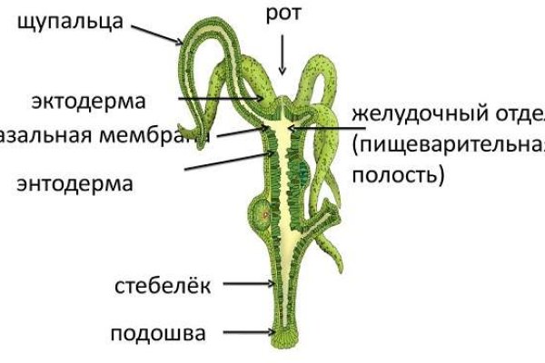 Пополнение kraken