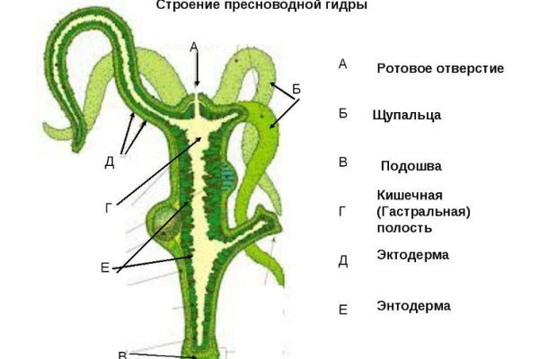 Кракен онион не работает