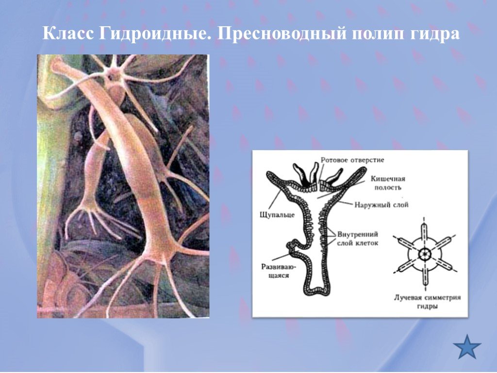 Кракен официальная ссылка зеркало